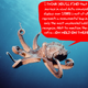 Illustration for article titled Octopuses Notice and Prefer High-Def TVs, Unlike Dad